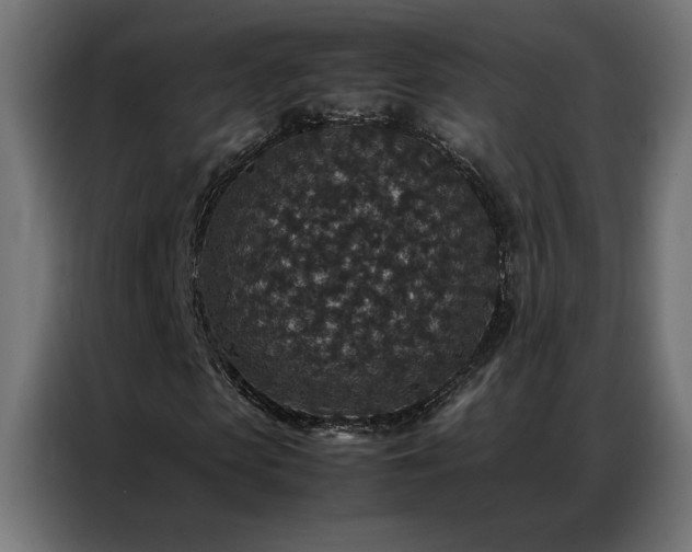 X0000086890913200704161243