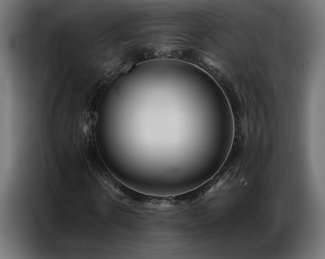 X0000086890914200704161243