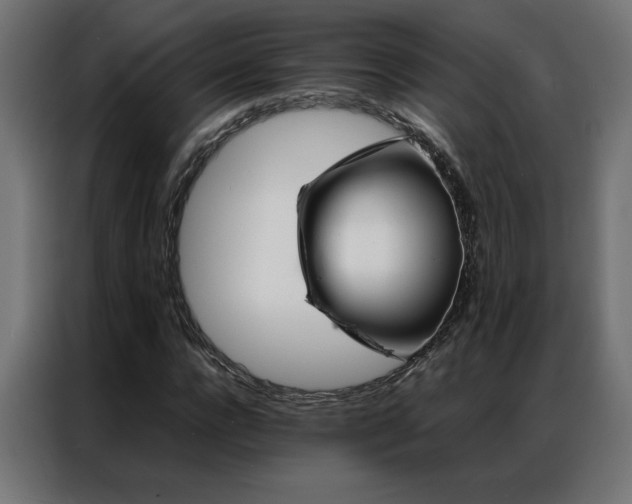 X0000086890920200704161244