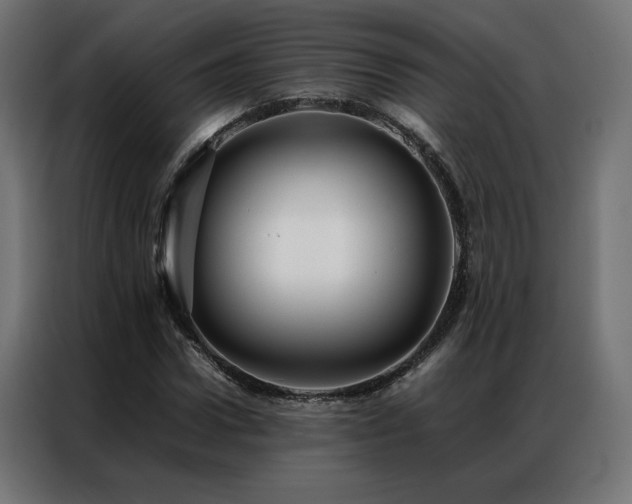 X0000086890922200704161244