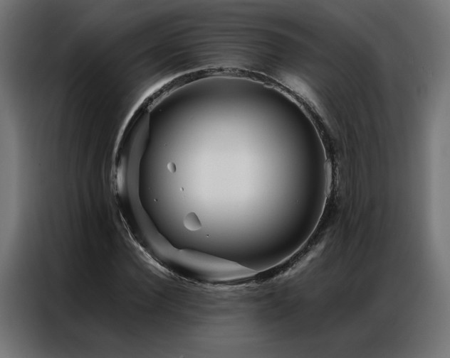 X0000086890924200704161244