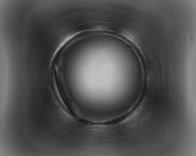 X0000086890925200704161244