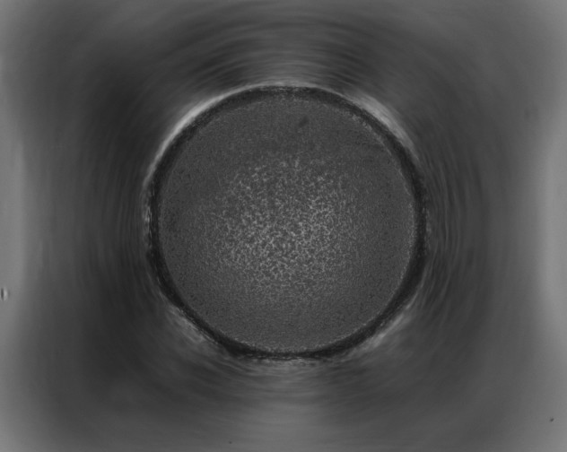 X0000086890926200704161244