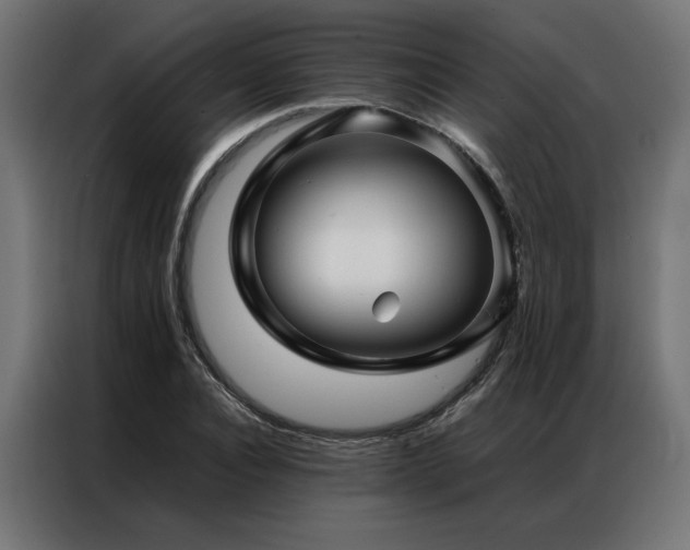 X0000086890928200704161244