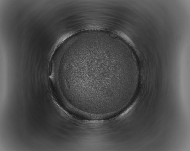 X0000086890930200704161244