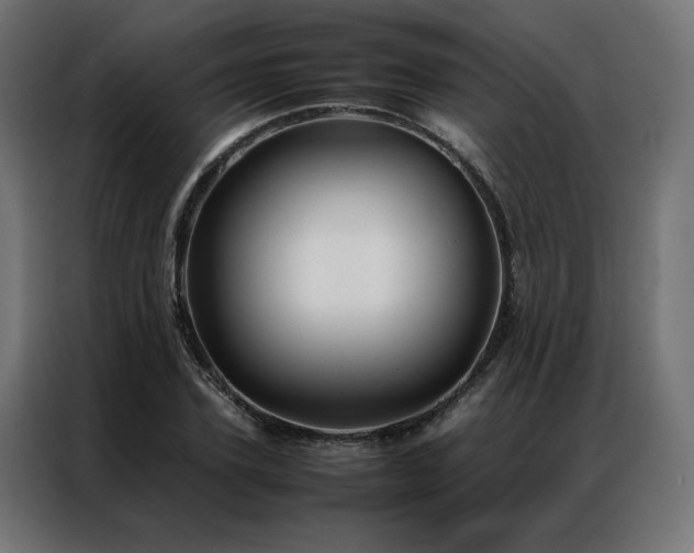 X0000086890931200704161244