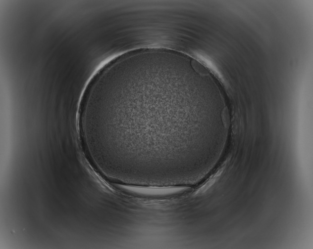 X0000086890932200704161244