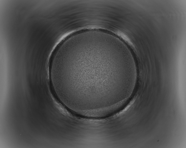 X0000086890934200704161244