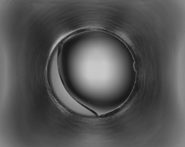 X0000086890936200704161244