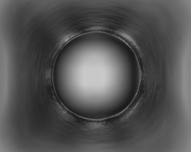 X0000086890937200704161244