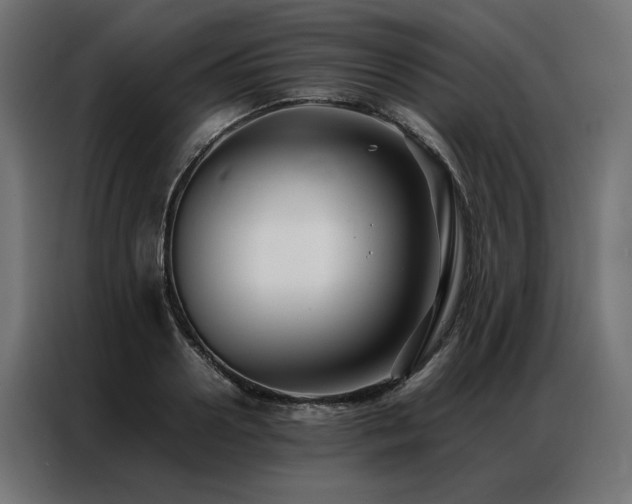 X0000086890938200704161244