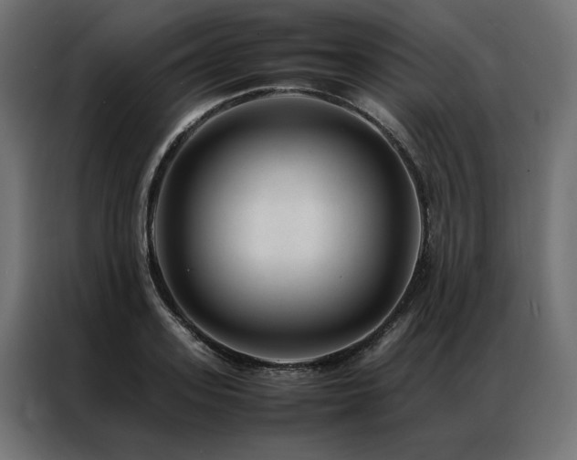 X0000086890939200704161244