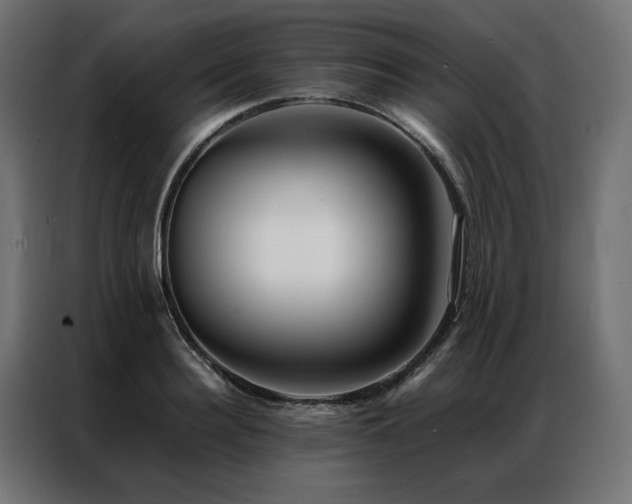 X0000086890940200704161244