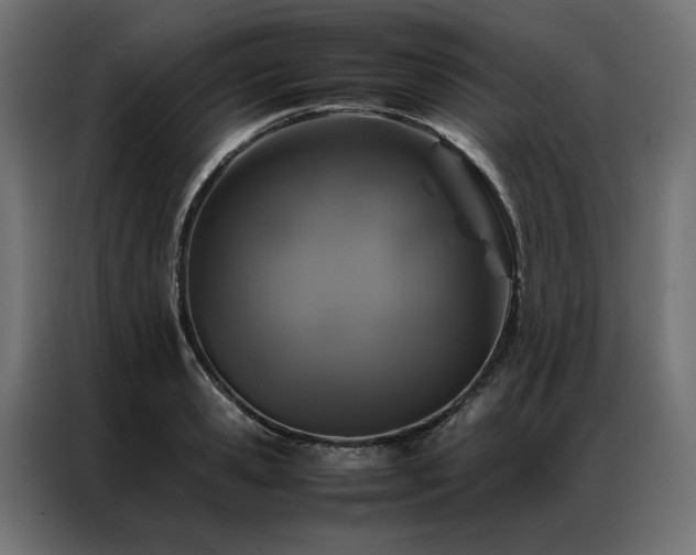 X0000086890941200704161244