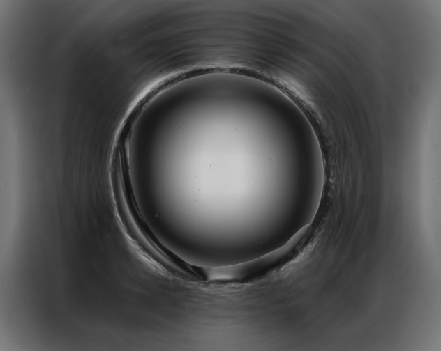 X0000086890942200704161244