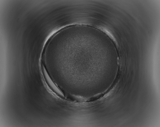 X0000086890944200704161244