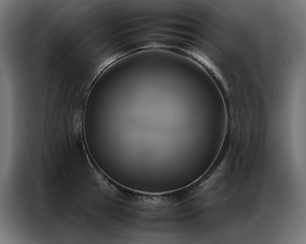 X0000086890945200704161244