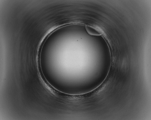 X0000086890947200704161244