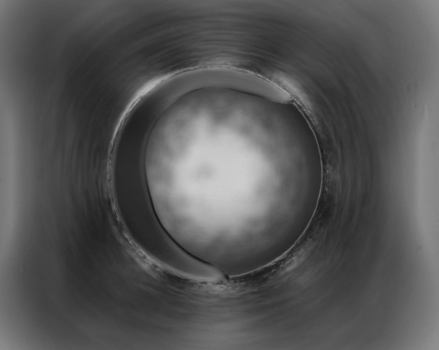 X0000086890948200704161244