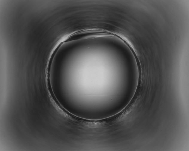 X0000086890949200704161244