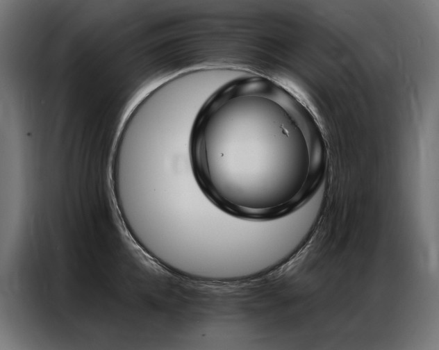 X0000086890952200704161244