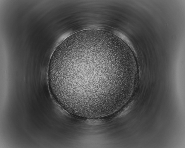 X0000086890954200704161244