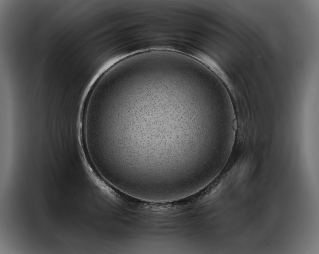 X0000086890955200704161244