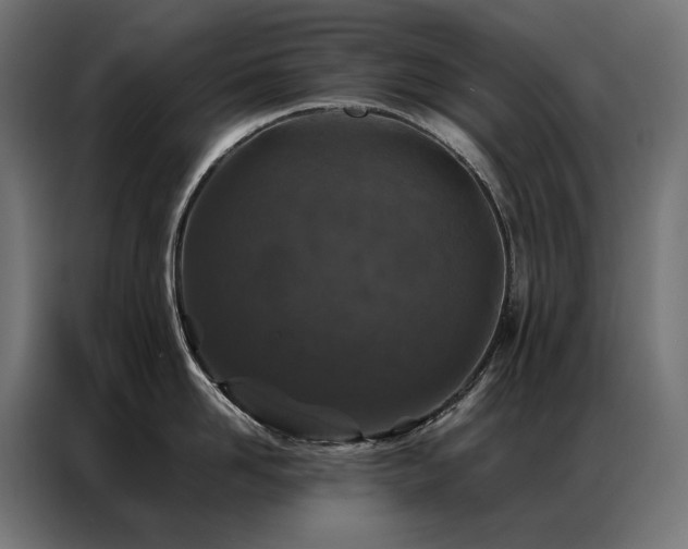 X0000086890958200704161244