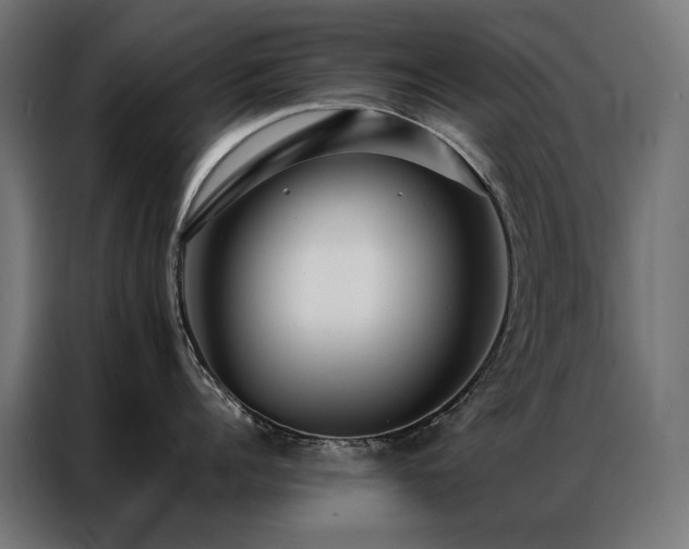 X0000086890960200704161244