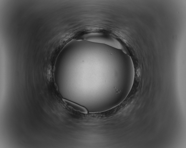 X0000086890963200704161243