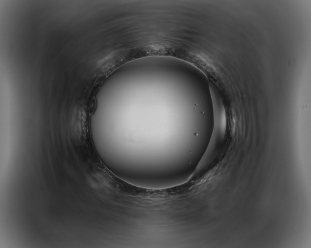 X0000086890964200704161243