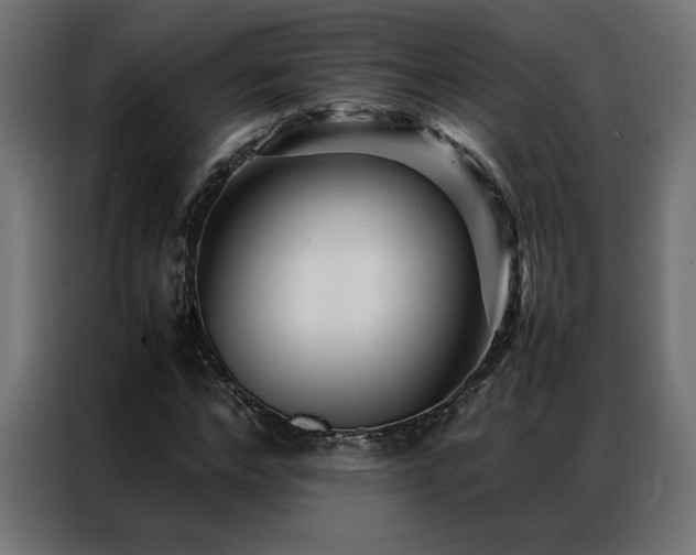 X0000086890968200704161243