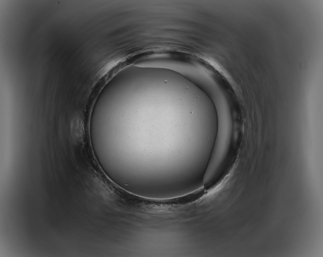 X0000086890969200704161243