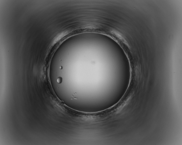 X0000086890970200704161243