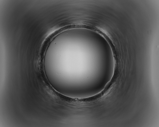 X0000086890971200704161243