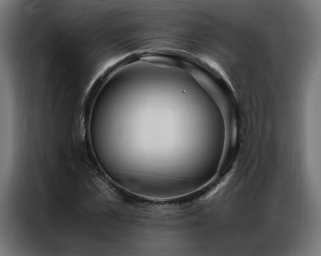 X0000086890973200704161243