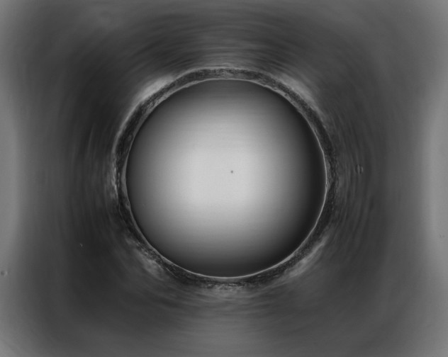 X0000086890974200704161243