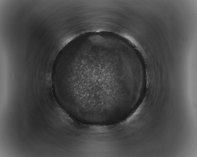 X0000086890977200704161243