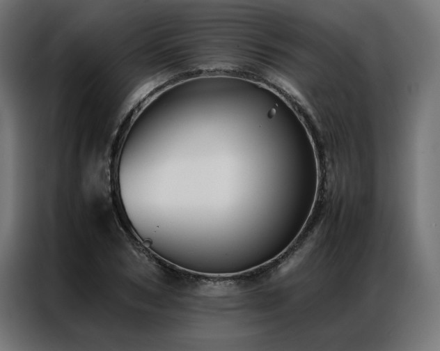 X0000086890978200704161243