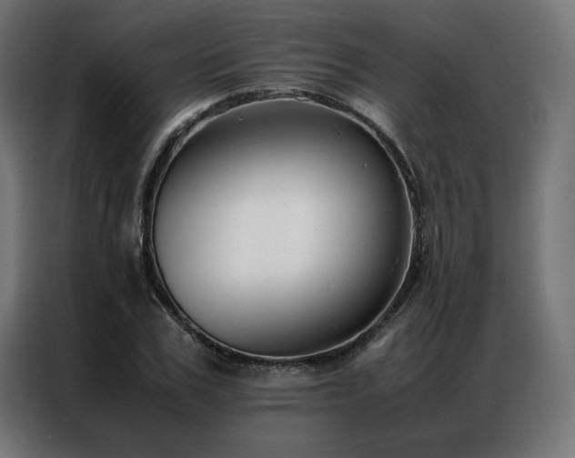 X0000086890979200704161243