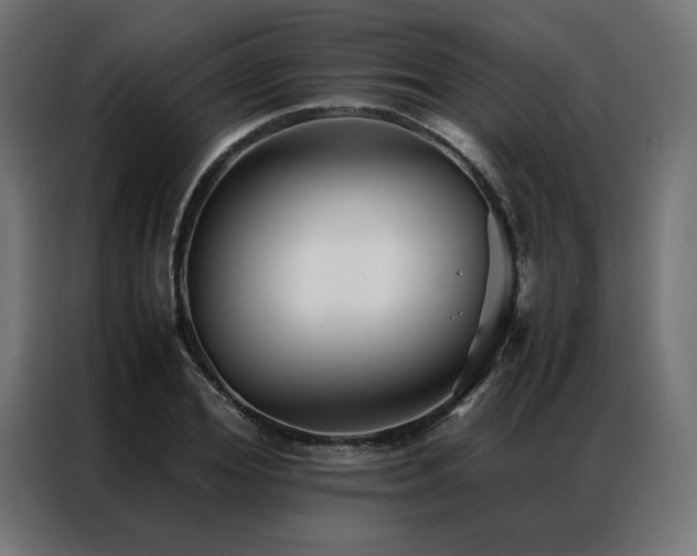 X0000086890980200704161243