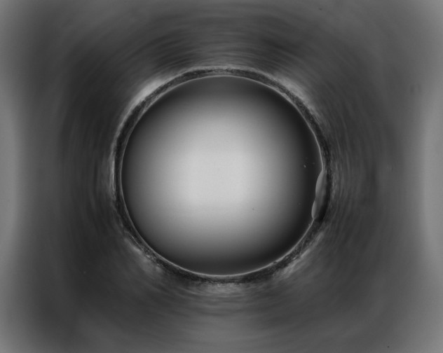 X0000086890982200704161243