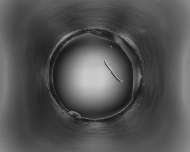 X0000086890984200704161243