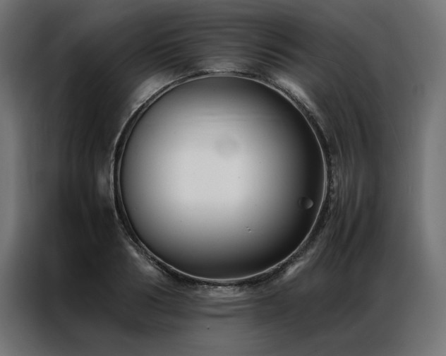 X0000086890986200704161243