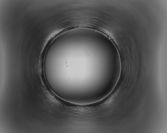 X0000086890987200704161243