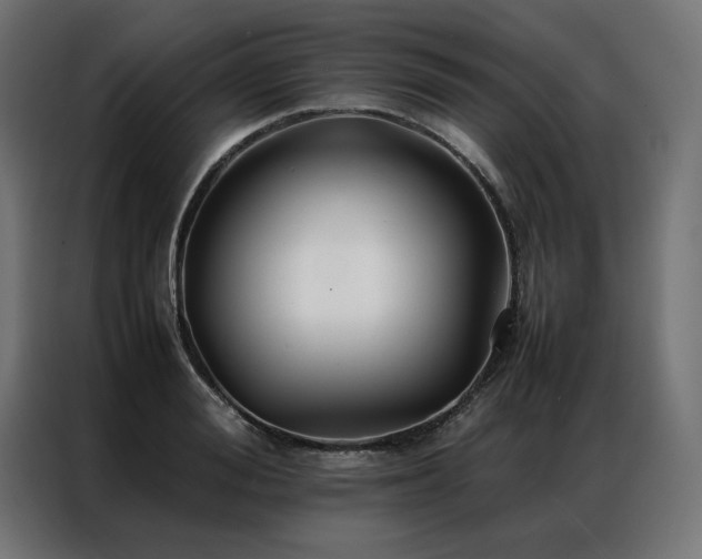 X0000086890988200704161243