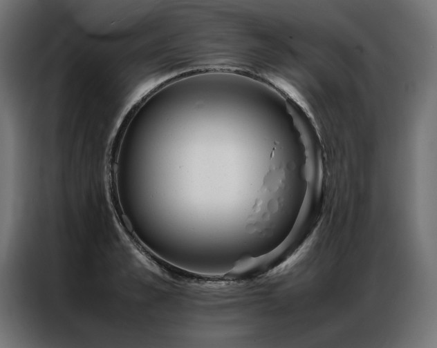 X0000086890989200704161243