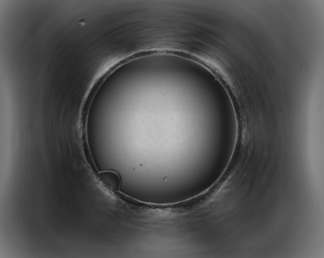 X0000086890990200704161243