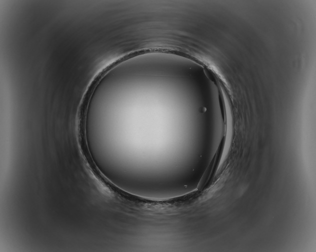 X0000086890991200704161243