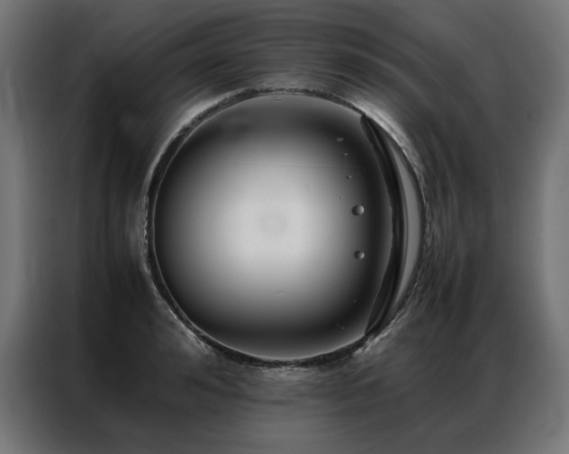 X0000086890992200704161243